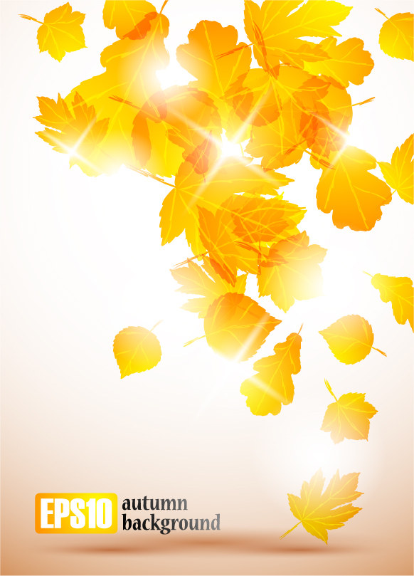 free vector Autumn leaves vector